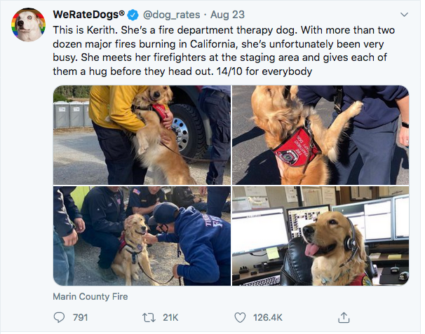 @dog_rates on Twitter